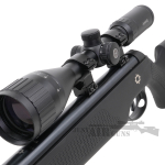 Dragon Air Rifle Black Norica .22