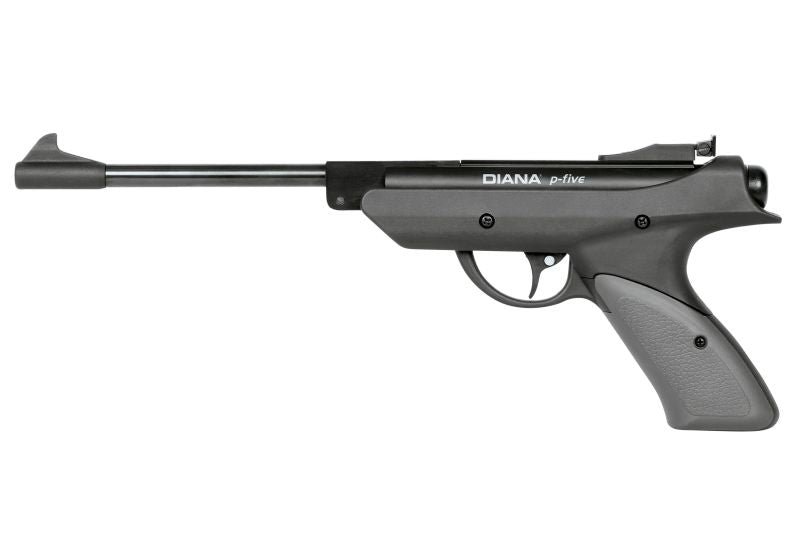 diana_p_five_CARBIN.jpg